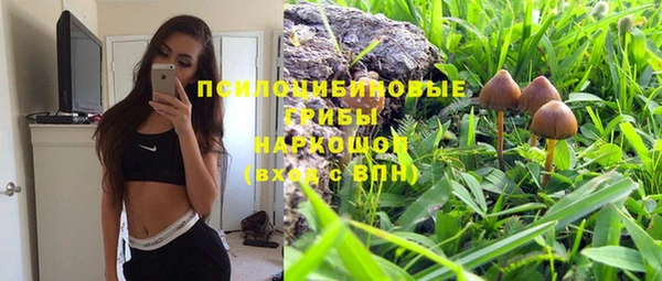 тгк Аркадак