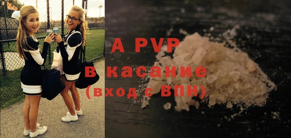 шишки Армянск