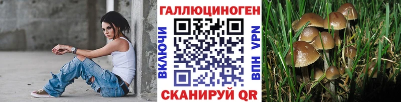 Псилоцибиновые грибы Psilocybine cubensis  Сибай 